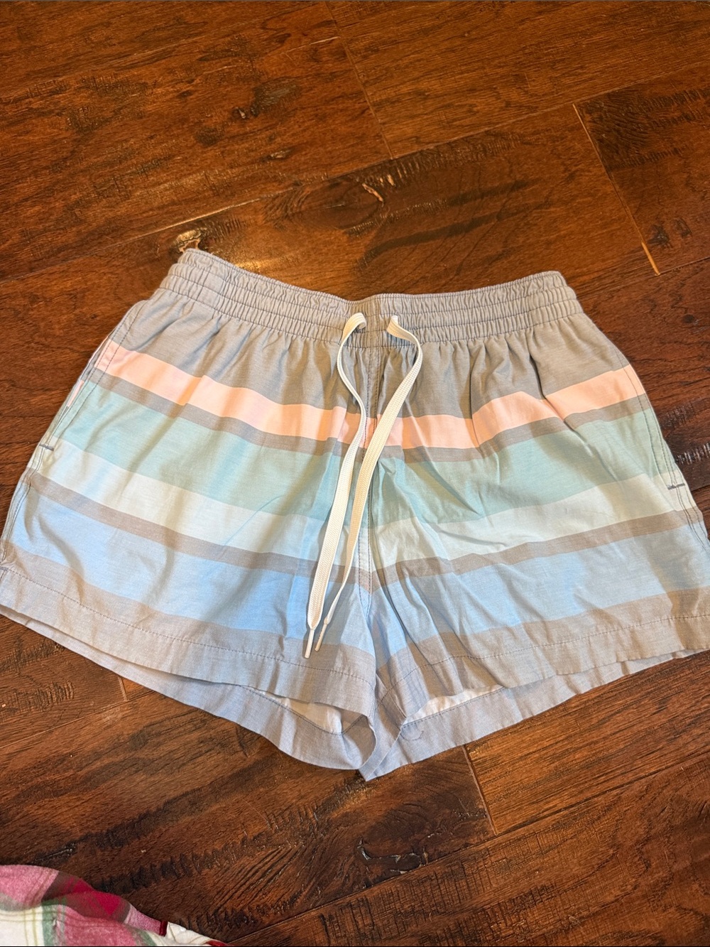 chubbies Men’s Pastel Striped Swim Trunks in Light Blue & Pink
